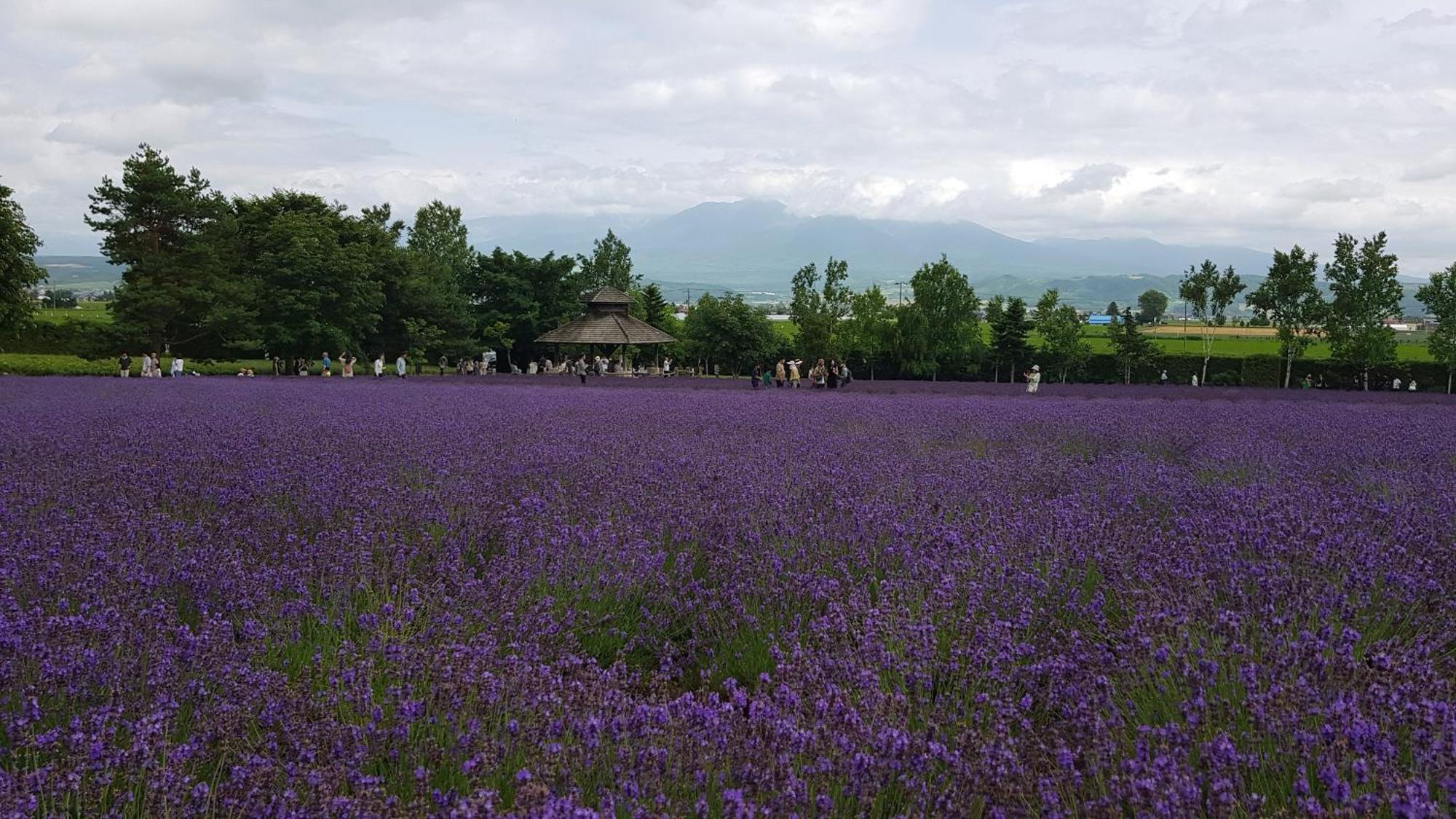 Furano B&B Ngoại thất bức ảnh
