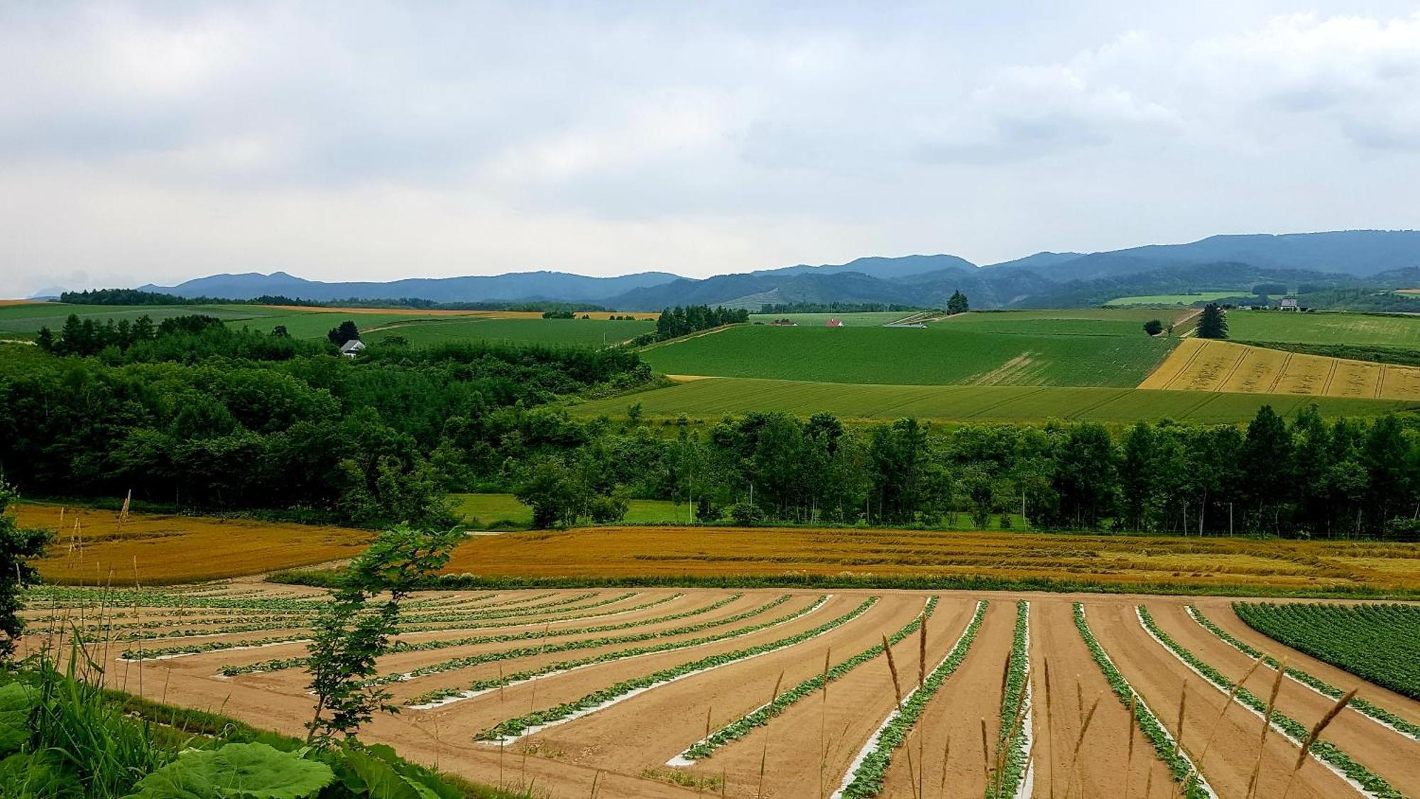 Furano B&B Ngoại thất bức ảnh
